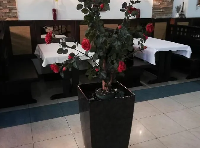 アパート Santa Rita